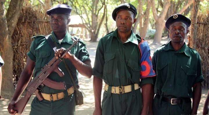 Sofala: 60 ex-guerrilheiros da Renamo recebem material de construção e instrumentos agrícolas no âmbito do DDR