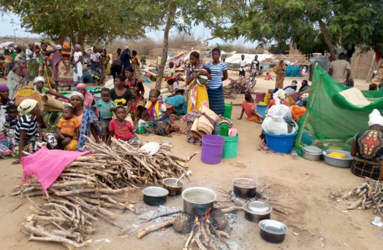 Ataques na Zona Centro e Norte, Primeira Comissão da AR desloca-se as Províncias de Manica,Sofala e C.Delegado