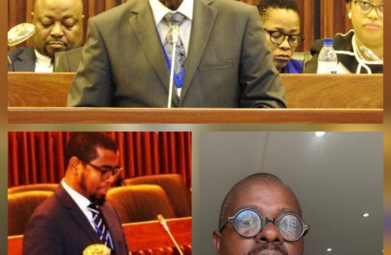 DEPUTADOS DA FRELIMO INTENSIFICAM TRABALHO NAS COMISSÕES PARLAMENTARES COM FOCO NAS REFORMAS LEGISLATIVAS