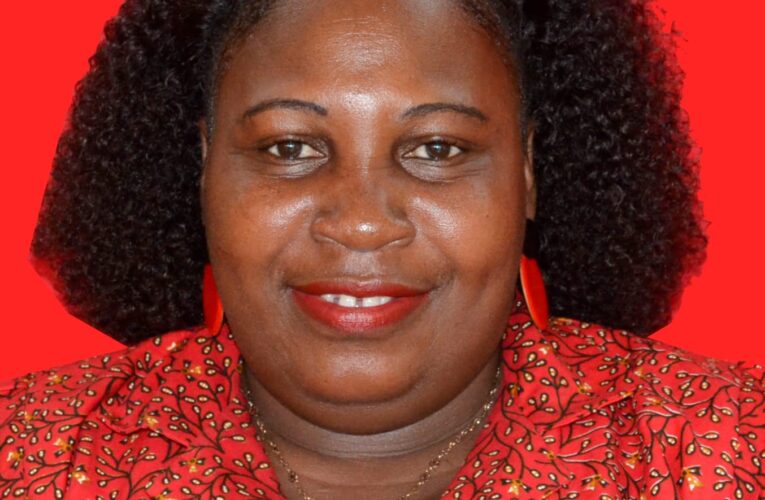 COMUNICADO DE IMPRENSA