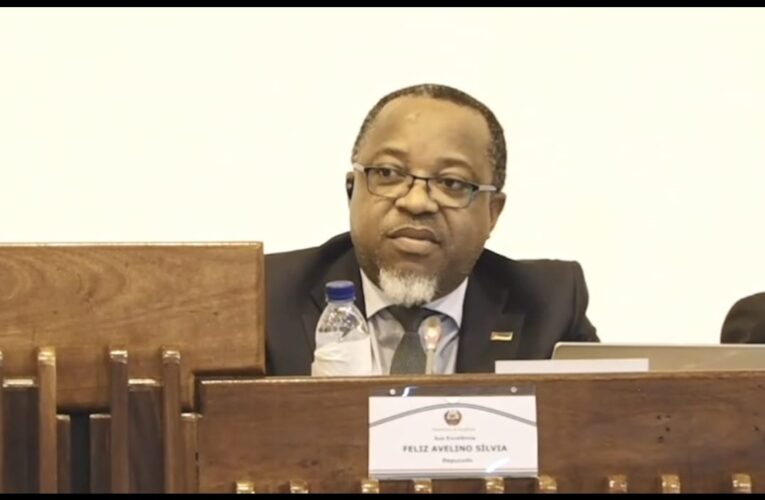 Chefe da Bancada Parlamentar da FRELIMO Feliz Avelino Silvia Destacou que o terrorismo em Cabo Delgado não deve ser usado para fazer política, lembrando que estão em causa vidas humanas. Por isso, apelou aos deputados para adotarem uma postura mais responsável e sensível diante do sofrimento do povo.