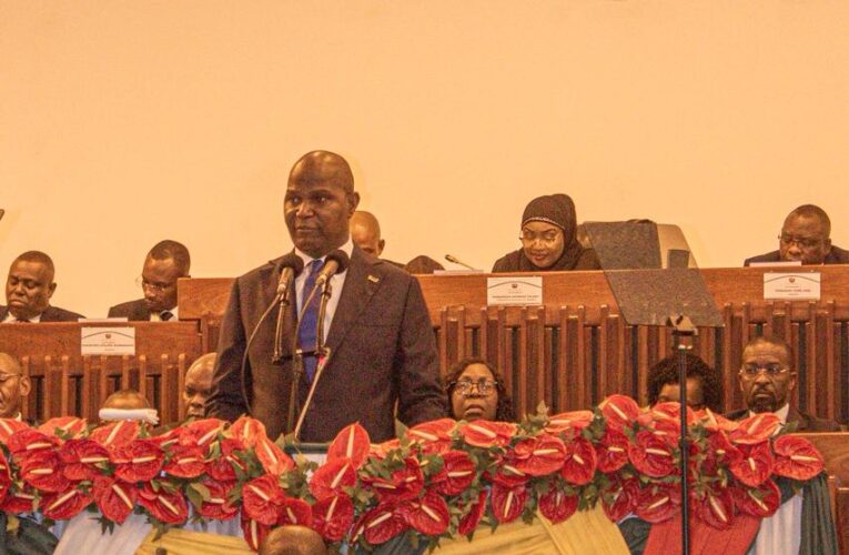 INFORMAÇÃO ANUAL DO CHEFE DO ESTADO À ASSEMBLEIADA REPÚBLICA SOBRE A SITUAÇÃO GERAL DA NAÇÃO