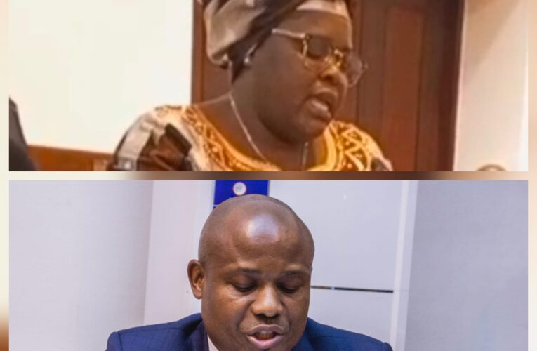 FRELIMO APOIA REVISÃO DO ESTATUTO DA ORDEM DOS CONTABILISTAS E AUDITORES