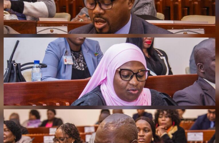 FRELIMO DEBATE SEGURANÇA, MINERAÇÃO ILEGAL E TRÁFICO DE DROGAS NO DEBATE DO INFORME DO PGR