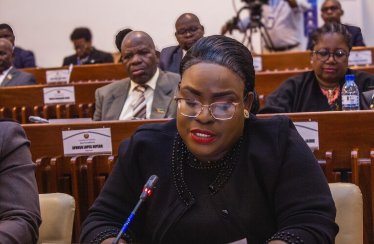 NO ÂMBITO DO DEBATE SOBRE O INFORME DO PGR – DEPUTADA ANCHIA TALAPA CONSIDERA DOCUMENTO SERIO, CONSISTENTE E RELEVANTE