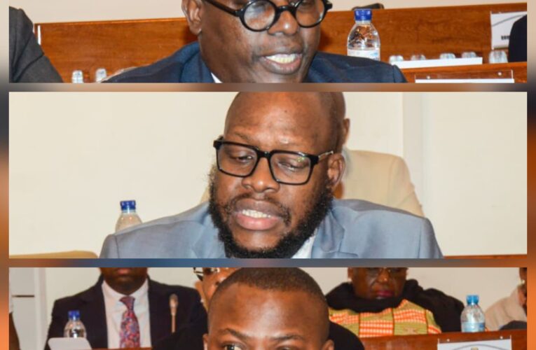 PARLAMENTO DEBATE APOSENTAÇÃO: FRELIMO DEFENDE EXPERIÊNCIA, SUSTENTABILIDADE E MÉRITO
