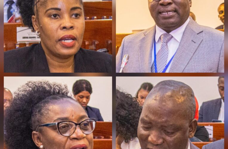 DEPUTADOS DA FRELIMO NA AR DEFENDEM REFORÇO DO COMBATE AO CRIME COM ACORDOS INTERNACIONAIS