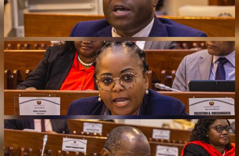 FRELIMO DEFENDE CONTEÚDO LOCAL COMO INSTRUMENTO DE SOBERANIA ECONÓMICA E INCLUSÃO SOCIAL